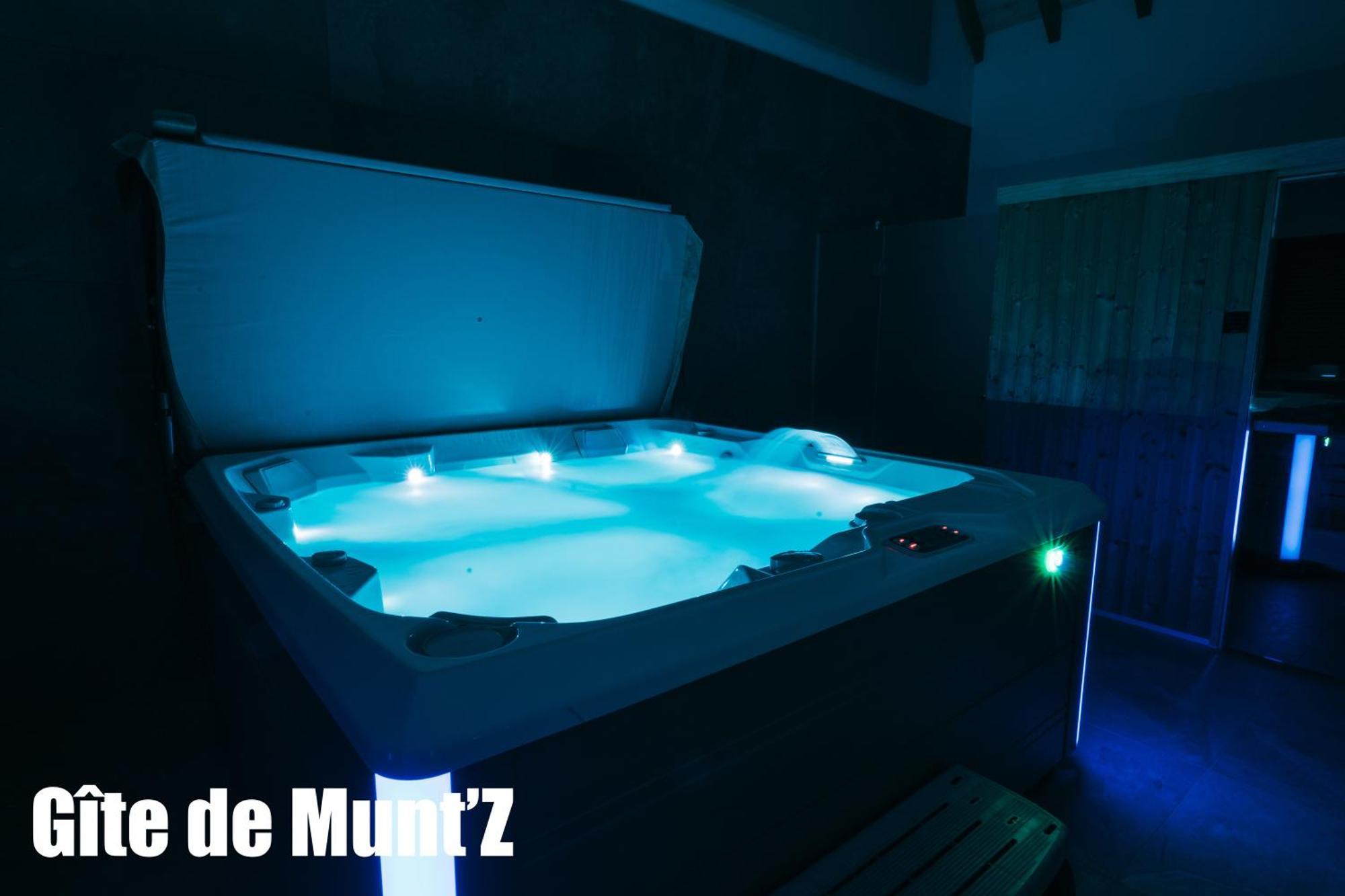 Gite De Munt'Z Spa, Sauna, Piscine, Proche De Colmar Muntzenheim Exterior photo